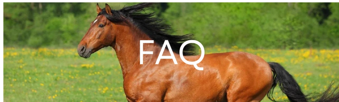 Simple pour le cheval de coupure et de couture de Faux selle le cuir matériel